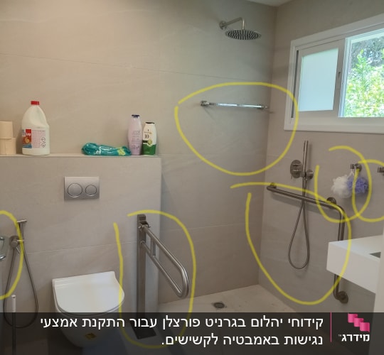 חדר אמבטיה עם אביזרי נגישות ומקלחת